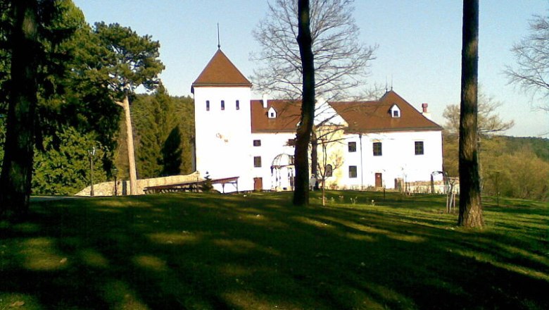 Schloss Vöstenhof, © frei Schloss Vöstenhof in einer grünen Landschaft mit Bäumen im Vordergrund.