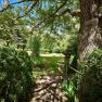 Garten, © VP FeWo OG Ein grüner Garten mit Bäumen, Sträuchern und zwei Liegestühlen im Hintergrund.
