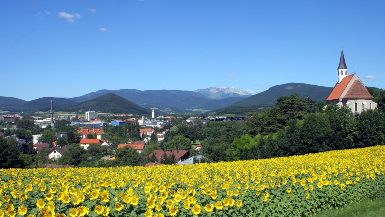 Ternitz, © Stadtgemeinde Ternitz Blick auf Ternitz mit Sonnenblumenfeld im Vordergrund und Kirche rechts, umgeben von grünen Hügeln und blauem Himmel.