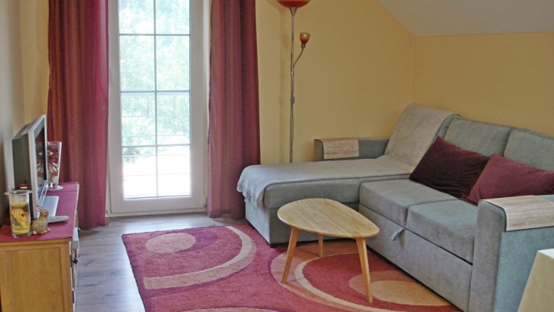 Ferienwohnung Wohnzimmer, © Vadim Drozdov Wohnzimmer mit grauem Sofa, rotem Teppich und Glastür.