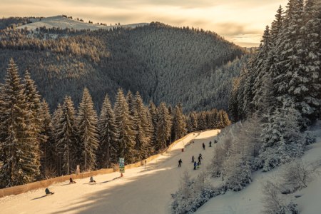 Rodeln am Semmering, © Semmering-Hirschenkogel Bergbahnen GmbH Panoramabild der Rodelbahn mit Rodlern und Blick auf einen schneebedeckten Berg