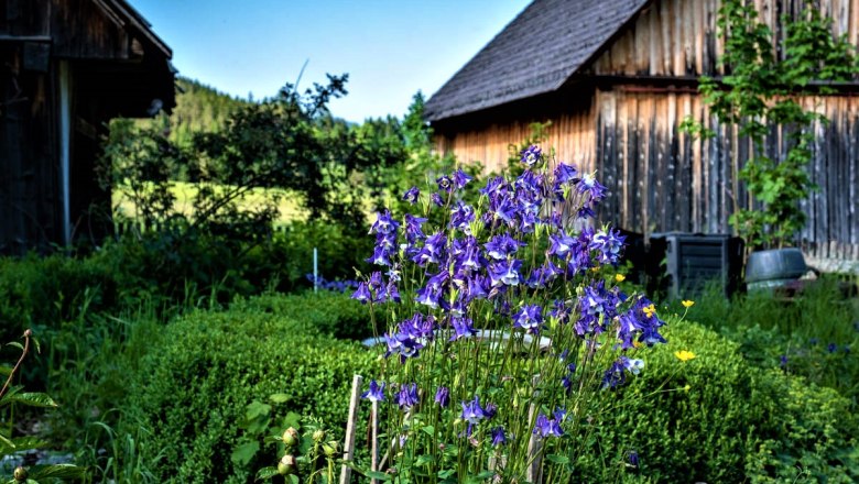 Garten, © Gluschitz-Goebel Ein Garten mit lila Blumen im Vordergrund und Holzhütten im Hintergrund.