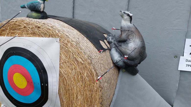 Bogenschießen „Natur macht Sinn“ im Kletterpark Wartmannstetten, © Werner Barta Zielscheibe mit Pfeilen und Tierfiguren im Kletterpark Wartmannstetten.