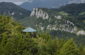 Doppelreiter Aussichtswarte, © NÖW/Robin Uhte Aussichtswarte im Wald mit Berglandschaft im Hintergrund.