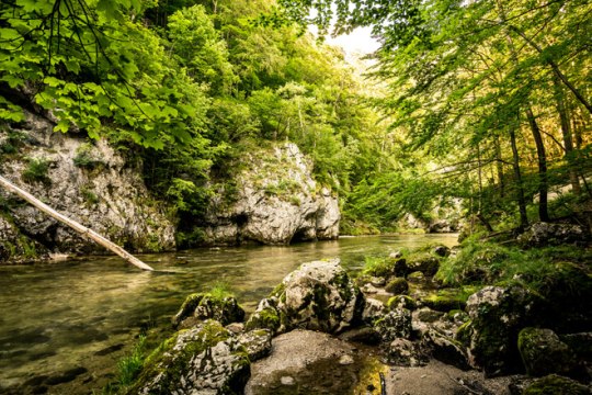 mittig fließt ein Fluss, seitlich davon Felsen und Bäume