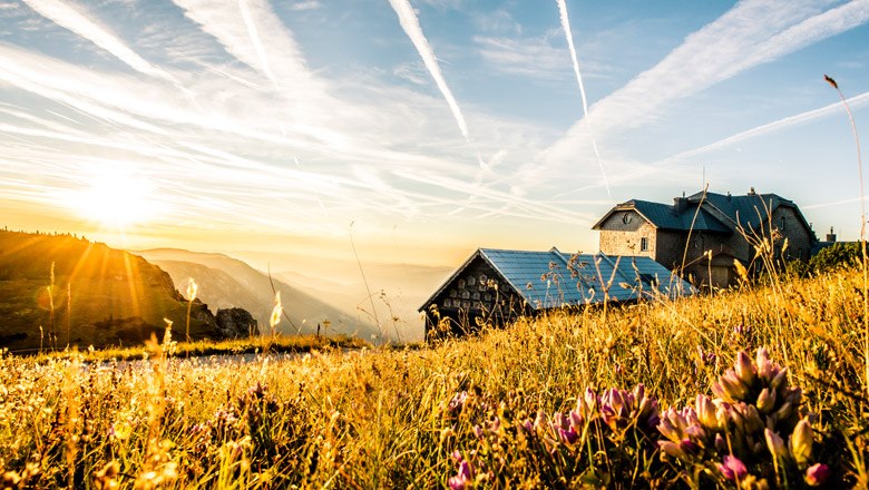 Bergsommer auf der Rax, © Niederösterreich-Werbung/ Robert Herbst