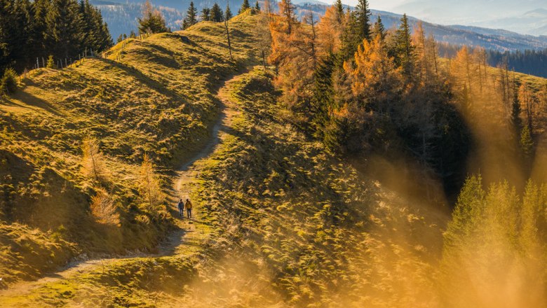 Wandern im Herbst, © Wiener Alpen/Martin Fülöp