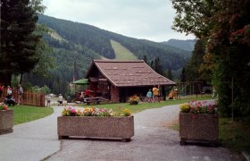Eine Berghütte in einer grünen, bewaldeten Landschaft mit Blumen im Vordergrund.