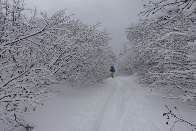 Wolfgang Menzel, &copy; teamwandern.at