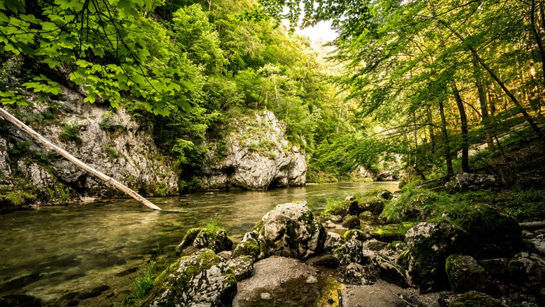 Das Höllental, © Robert Herbst