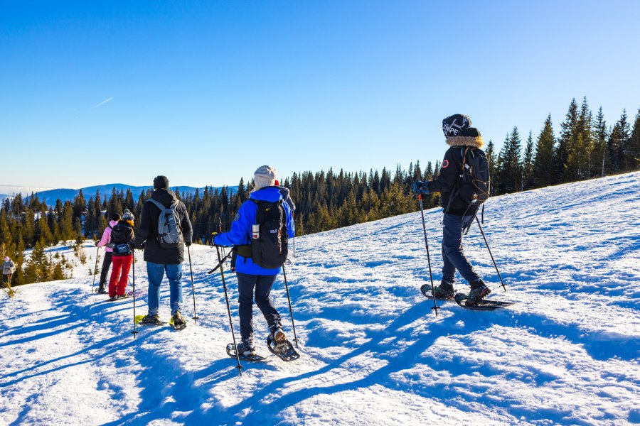 Eine Gruppe von Schneeschuhwanderern auf der Rax in winterlicher Landschaft von hinten fotografiert.