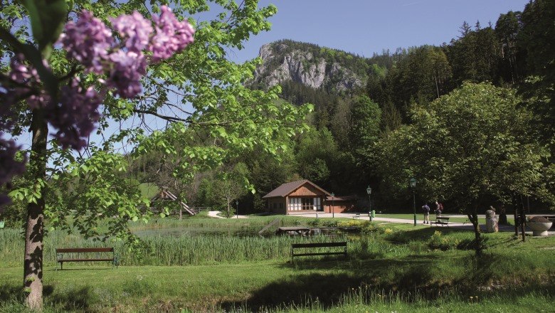 Naturpark Schwarzau im Gebirge, © ENZO