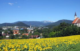 Blick auf Ternitz mit Sonnenblumenfeld im Vordergrund und Kirche rechts, umgeben von gr&uuml;nen H&uuml;geln und blauem Himmel.