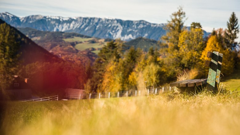 Wandern im Herbst, © Wiener Alpen - Martin Fülöp