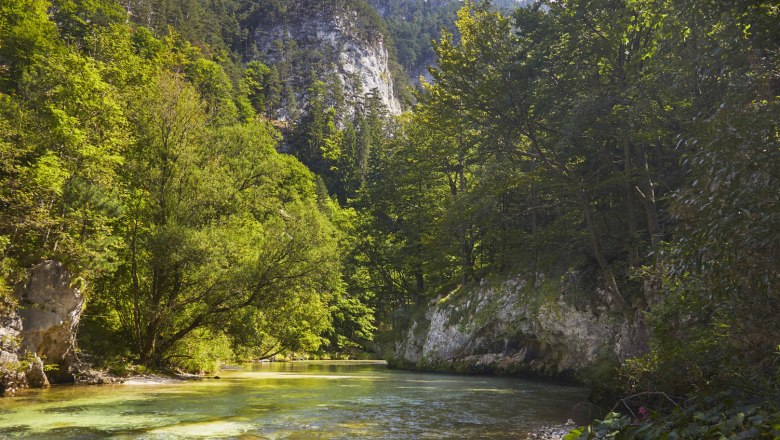 Unberührte Flusslandschaften, © Wiener Alpen/Bene Croy