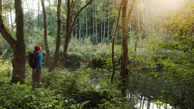 Eine Person mit roter M&uuml;tze und Rucksack steht in einem Wald und blickt auf einen kleinen Teich. Sonnenlicht scheint durch die B&auml;ume.
