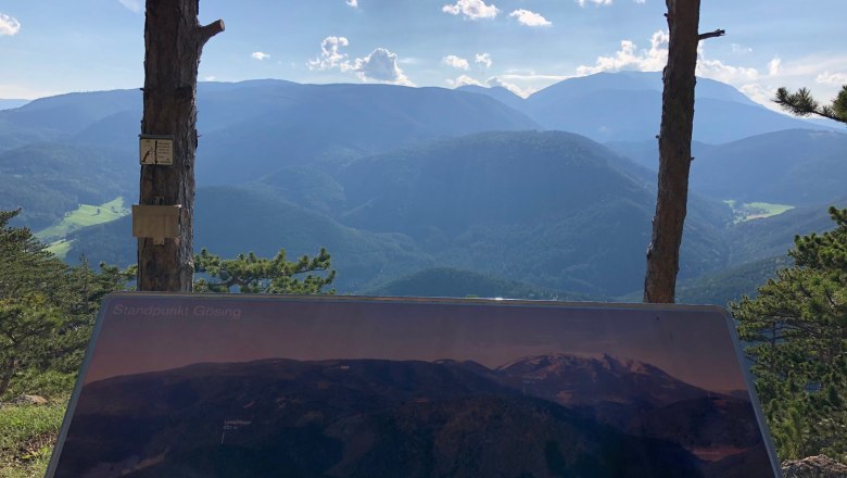 Aussichtspunkt Gösing mit Tafel und Blick auf bewaldete Berge