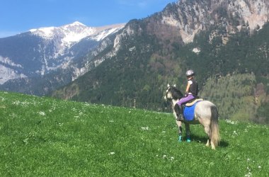 Reiten in Reichenau, © Pferdewelt Reichenau