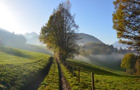 Wandern mit Weitblick, © Gemeinde Raach