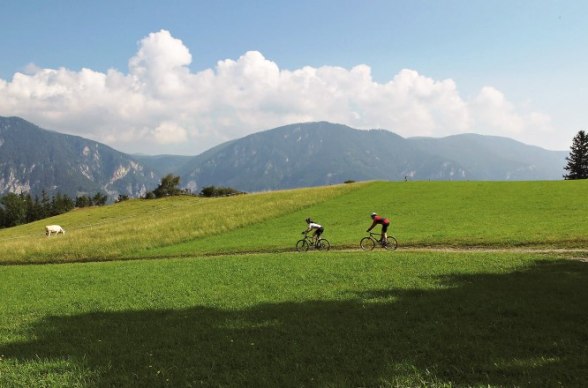Mountainbiker in Reichenau, © Marktgemeinde Reichenau an der Rax