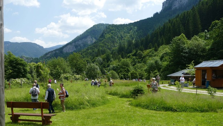 Menschen spazieren in einem grünen Park mit Bergen im Hintergrund.