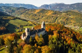 Luftaufnahme der Burg Wartenstein umgeben von herbstlichen Bäumen und Bergen im Hintergrund.