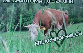 Erlachhof Biomilch, © Erlachhof