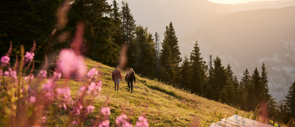 Sanfte H&uuml;gel und bl&uuml;hende Wiesen laden zu einem unvergesslichen Wanderausflug ein. Die warmen Sonnenstrahlen tauchen die Landschaft in goldenes Licht und schaffen eine harmonische Atmosph&auml;re. Hier, umgeben von majest&auml;tischen Bergen und duftenden Wildblumen, wird der Sommer in den Alpen zum Erlebnis.