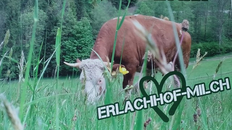 Erlachhof Biomilch, © Erlachhof