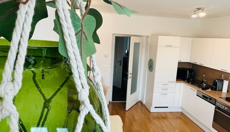 Moderne K&uuml;che in einer Ferienwohnung mit gr&uuml;ner Glasvase im Vordergrund.