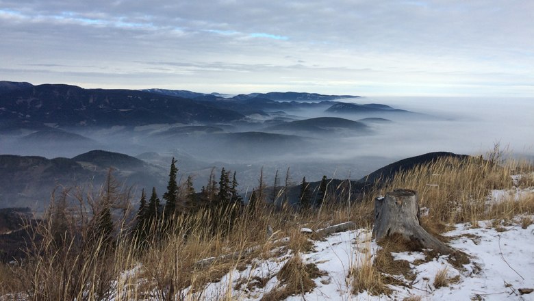Blick auf nebelverhangene Berge und Täler mit schneebedecktem Boden und Baumstumpf im Vordergrund.