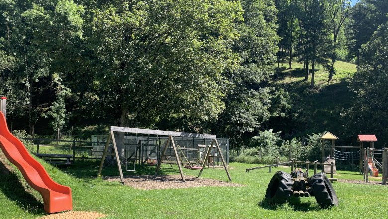 Spielplatz im Naturpark Falkenstein mit Rutsche, Schaukeln und Klettergerüst, umgeben von Bäumen.