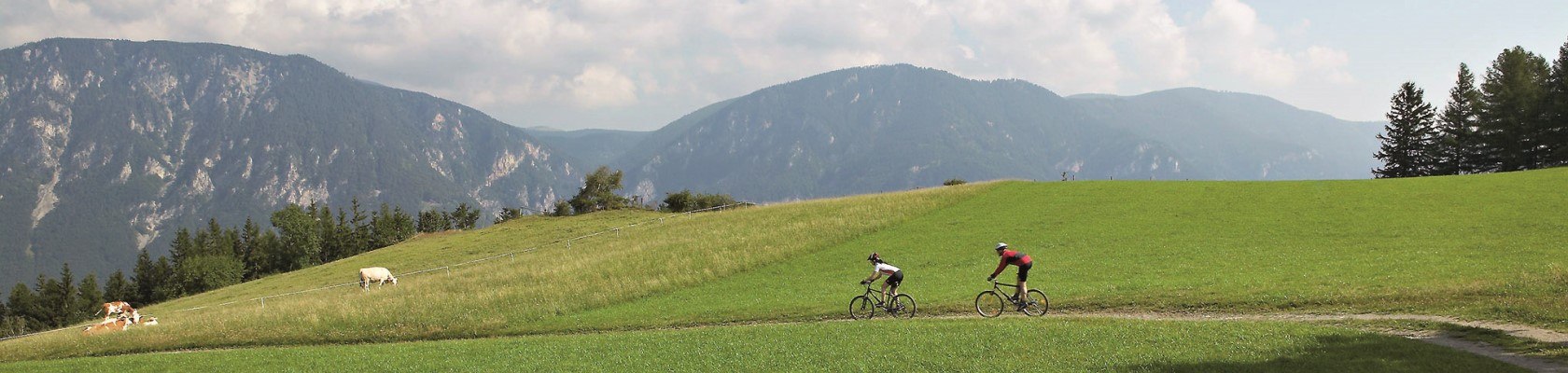 Mountainbiken in Reichenau, © Marktgemeinde Reichenau an der Rax