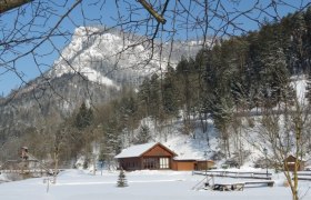 Verschneite Landschaft im Naturpark Falkenstein mit Holzh&uuml;tte und schneebedecktem Berg im Hintergrund.