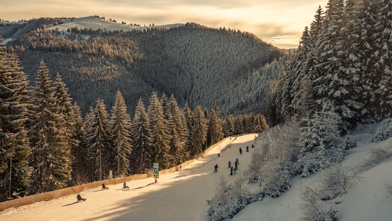 Rodeln am Semmering, © Semmering-Hirschenkogel Bergbahnen GmbH