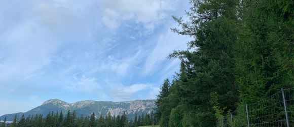 Wanderweg zur Speckbacherhütte, © Wiener Alpen in Niederösterreich