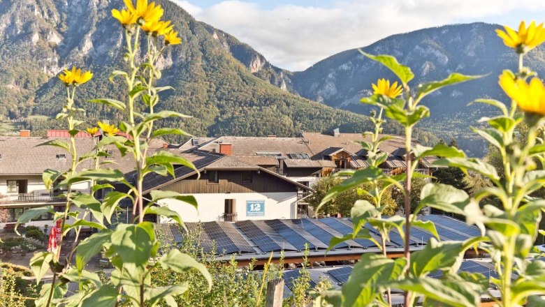 Sonnenblumen vor Solaranlagen und Bergen im Hintergrund.