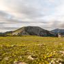 Am Raxplateau, © Kai Weidinger