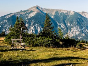 Die sanften Hügel der Wiener Alpen erstrahlen im warmen Licht des Sommertages. Ein klarer Himmel und die frische Bergluft laden dazu ein, die atemberaubende Aussicht zu genießen und die Ruhe der Natur zu erleben.