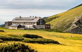 Das Karl-Ludwig-Haus in einer alpinen Landschaft mit gelben Blumenwiesen und bewölktem Himmel.