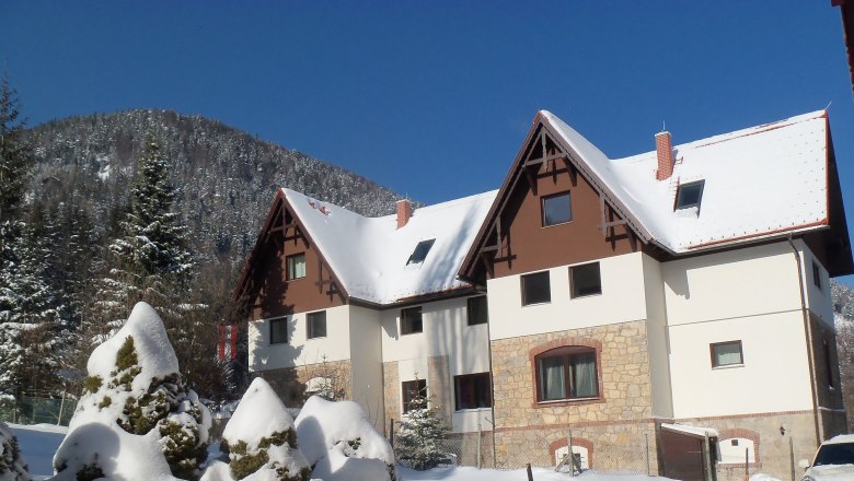 Schneebedeckte Villa Wellspacher vor einem bewaldeten Berg im Winter.