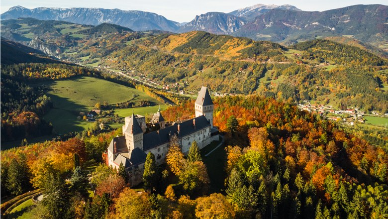 Luftaufnahme der Burg Wartenstein umgeben von herbstlichen Bäumen und Bergen im Hintergrund.