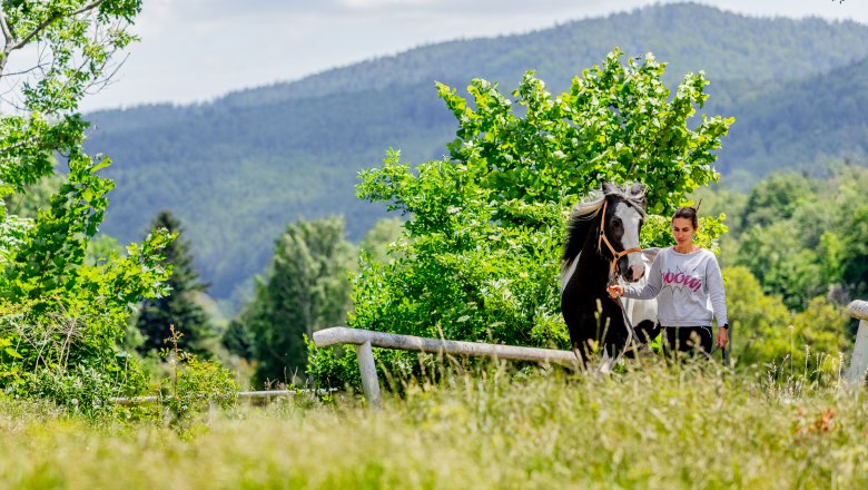 Eine Frau f&uuml;hrt ein schwarz-wei&szlig;es Pferd auf einer Wiese vor einer bewaldeten Berglandschaft.