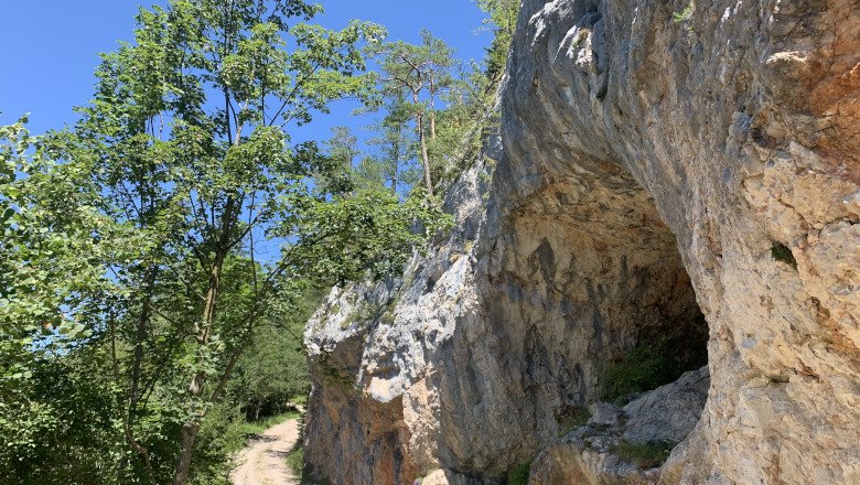 Ein Wanderweg im Naturpark Falkenstein führt an einer Felswand mit Höhle vorbei, umgeben von Bäumen und blauem Himmel.