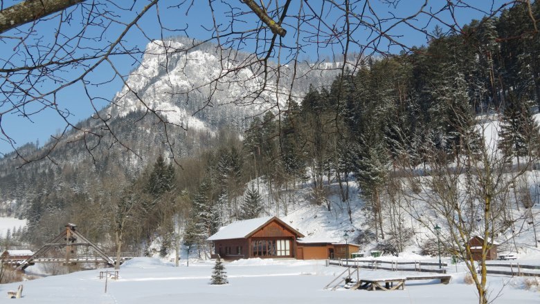 Verschneite Landschaft im Naturpark Falkenstein mit Holzh&uuml;tte und schneebedecktem Berg im Hintergrund.