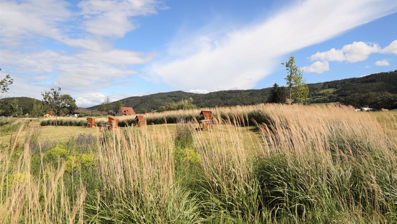 Gr&uuml;ne Wiese mit Picknicktischen und hohen Gr&auml;sern, umgeben von H&uuml;geln und blauem Himmel.