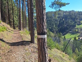 Bahnwanderweg über den roten Berg, © TVB Semmering-Rax-Schneeberg