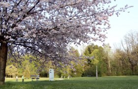 Stadtpark Neunkirchen, © Stadtgemeinde Neunkirchen