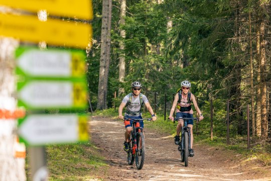 Zwei Mountainbiker auf dem Rad, Wegweiser im Vordergrund