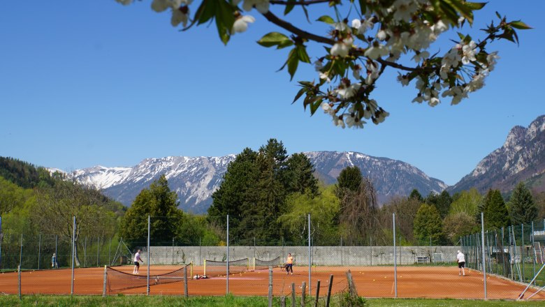 Tennisplatz mit Spielern vor einer Bergkulisse und blühenden Bäumen im Vordergrund.